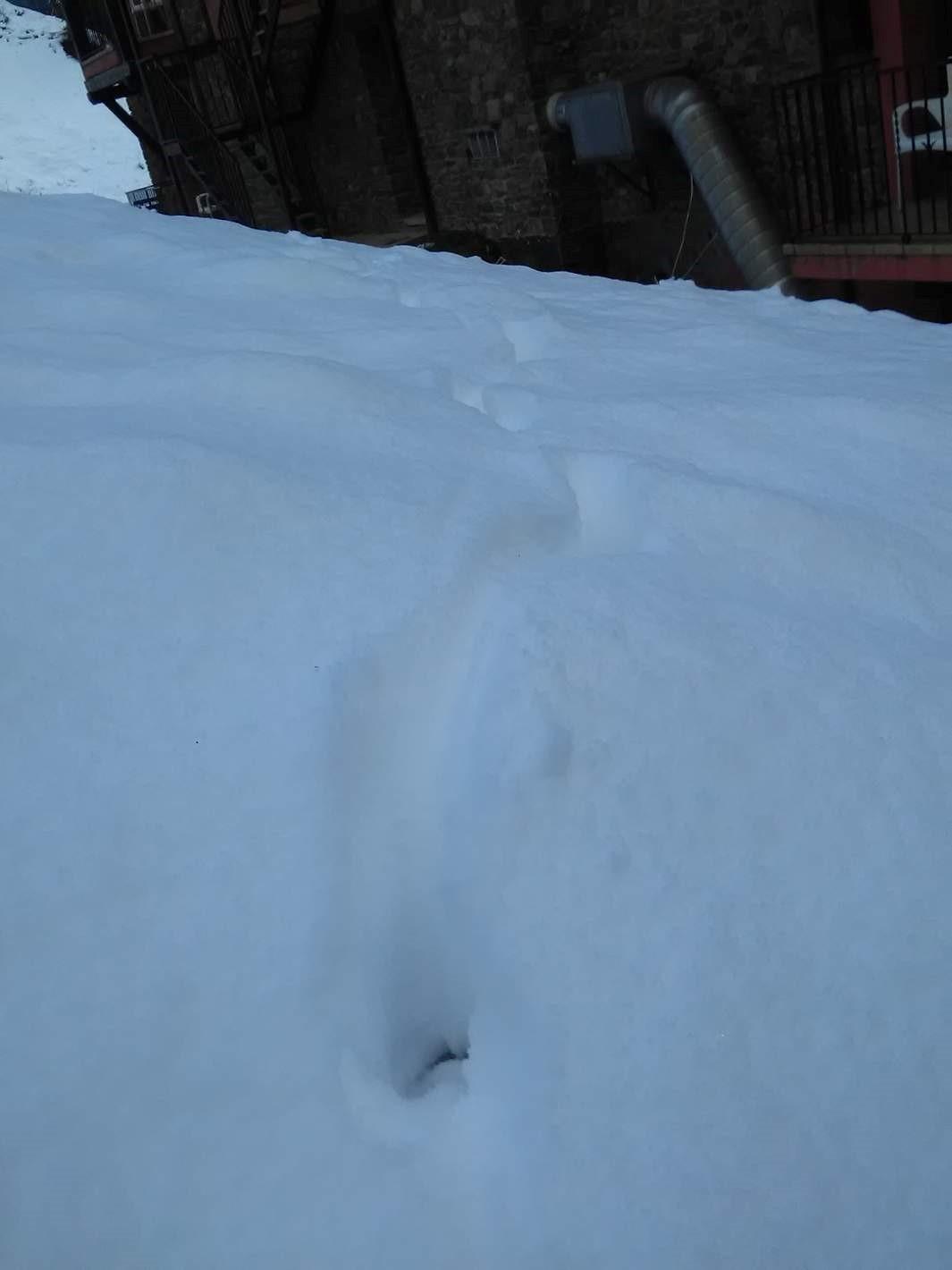 Xalet Besoli Arinsal Dış mekan fotoğraf